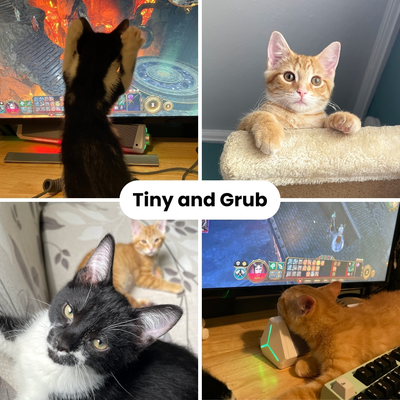 Tiny and Grub 3